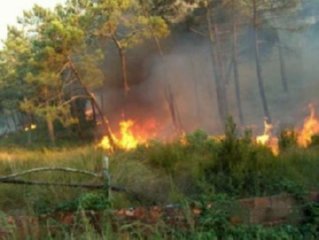 FUEGO CAMPO 04  RECICLAJE